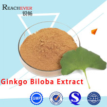 Factory Supply 100% Natural Ginko Biloba Extract USP Ginkgo Biloba Leaf Extract Powder Leaves Extract Powder